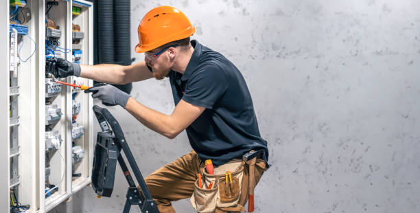 Best Electric Panel Repair  in Bellevue, IL